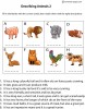 Animals Description 2